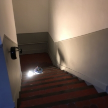 23509430_1498203120247770_8010937037003562690_o